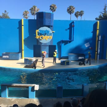 Six Flags Discovery Kingdom - Sea lion show - Amusement Parks Near Me - Vallejo, California