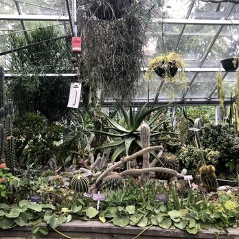 Allan Gardens - Parks Near Me - Toronto, Ontario