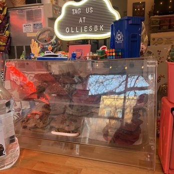 Ollie’s Ice Cream + Stuff - a display of ice cream - Ice Cream & Frozen Yogurt Near Me - Brooklyn, New York