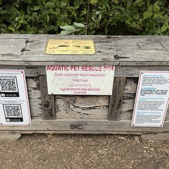 Mountain Lake Park - Release your pets here to avoid harming the ecosystem of the lake 8/23/25 - Parks Near Me Mountain Lake Park - Release your pets here to avoid harming the ecosystem of the lake 8/23/25 - Parks Near Me