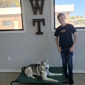 Waggy Tails Pet Center - Daddy and dog back together again after a month of training at Waggy Tails. - Pet Boarding Near Me - Franklin, Tennessee