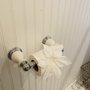 Photo of Charismatic Cleaning