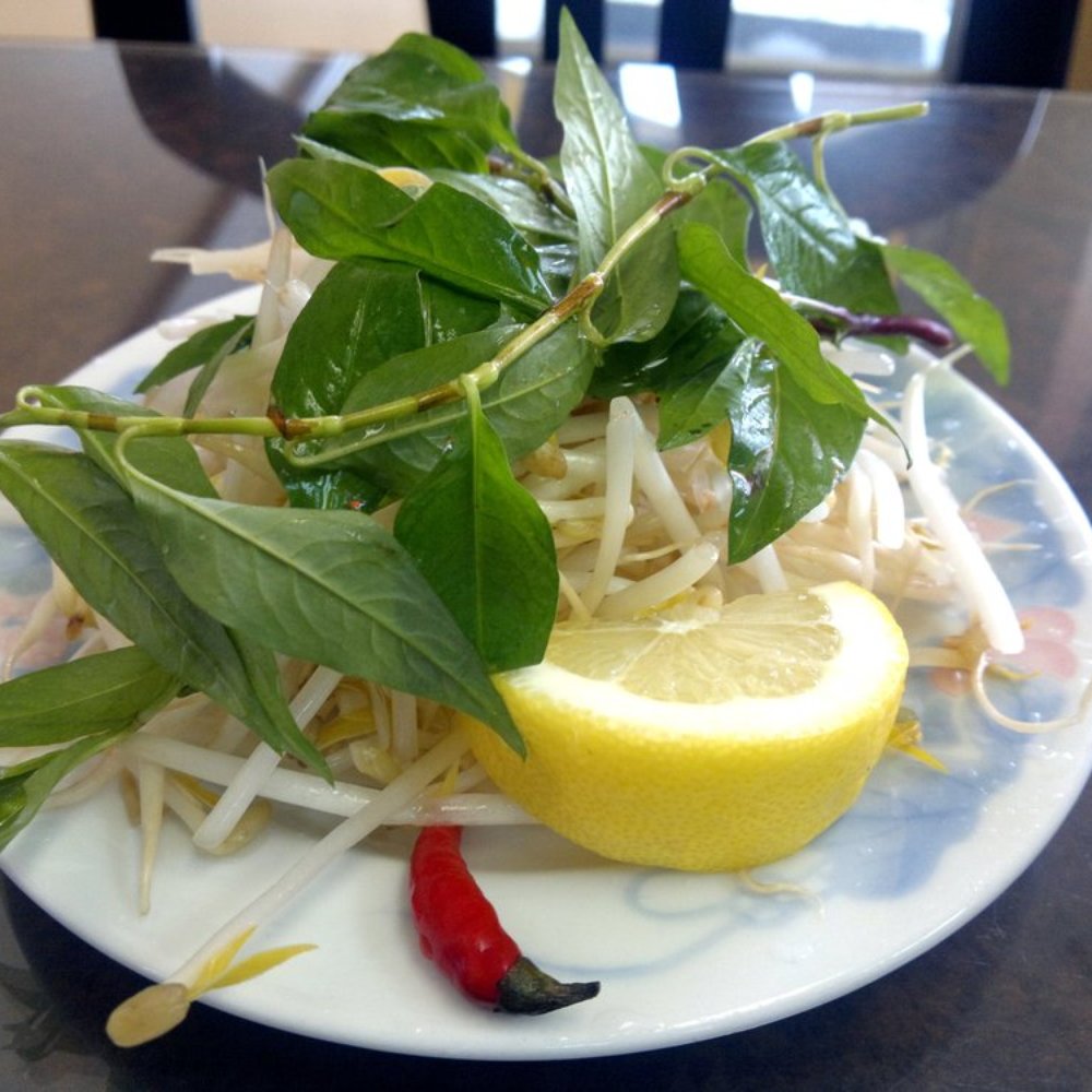 My Chau Restaurant - Garnish plate including basil, rau ram, bean sprouts, chili, and lemon. - Vietnamese Near Me - Vancouver, British Columbia
