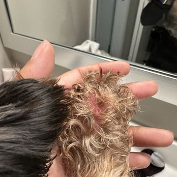 Petco - Right in between hit toes. - Pet Stores Near Me - Chicago, Illinois