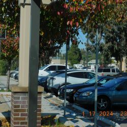 Beyer Boulevard Trolley Station - The many cameras that watch the station and the comings and goings. Medical center near by for those looking for the building.