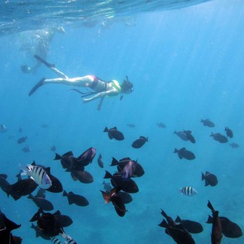 Ocean Joy Cruises - Thanks to the photographer for capturing this! - Tours Near Me - Kapolei, Hawaii Ocean Joy Cruises - Thanks to the photographer for capturing this! - Tours Near Me - Kapolei, Hawaii