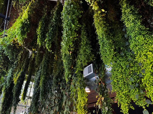 Beerline Cafe by null