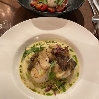 Cafe Koha Bar - Modern European Near Me - London, XGL