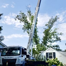 Paden Tree People - Tree Removal Crane, in action!