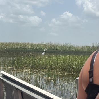 gator park - Boat Tours Near Me - Miami, Florida gator park - Boat Tours Near Me - Miami, Florida