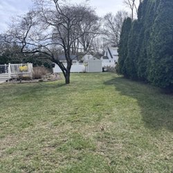 LD's Lawn Service - All cleaned up