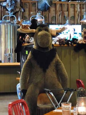 Tahquamenon Falls Brewery & Pub by null