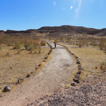 Lake Mead NRA - Lakeshore Tail. - Lakes Near Me - Boulder City, Nevada Lake Mead NRA - Lakeshore Tail. - Lakes Near Me - Boulder City, Nevada