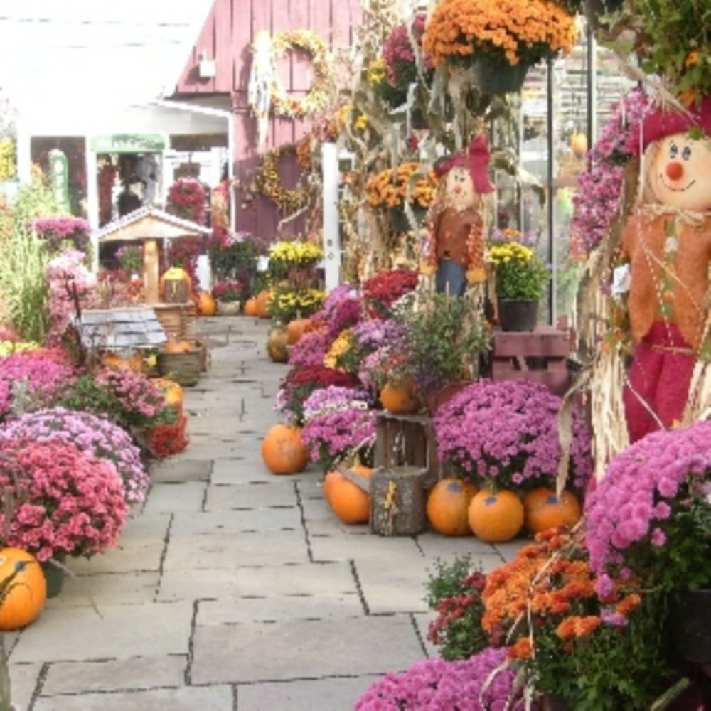 PIRES FLOWER BASKET 216 N Broad St, Norwich, New York Florists Phone Number Yelp