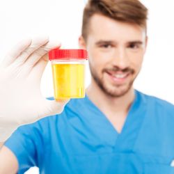 National Drug Screening - Need a drug test today, order online 24/7