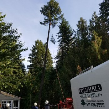 Columbia Tree Service - Speed Line! - Tree Services Near Me - Hood River, Oregon Columbia Tree Service - Speed Line! - Tree Services Near Me - Hood River, Oregon