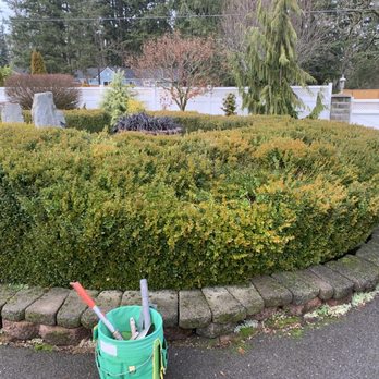 Jg landscape llc - Before - Landscaping Near Me Jg landscape llc - Before - Landscaping Near Me