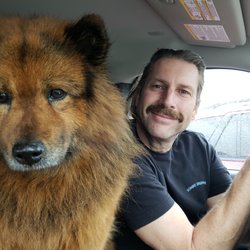 Bug Busters - Pet friendly, of course...!!!