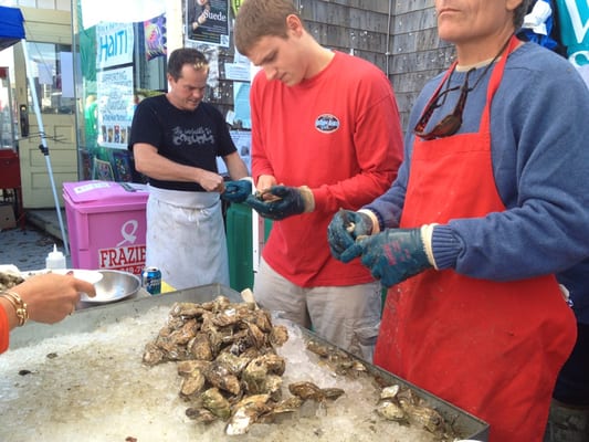 Wellfleet OysterFest by null