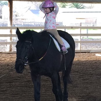 Highland Stable - Horseback Riding Near Me - Pleasanton, California