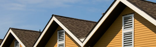 Slide of Roofing Doctor