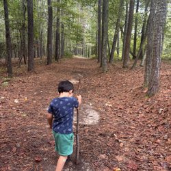Pickett's Mill Historic Site