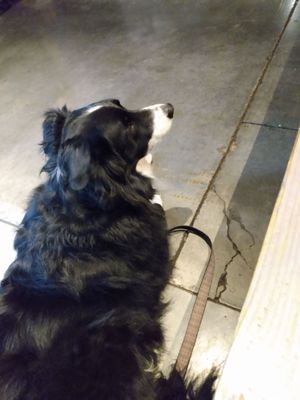 Breakside Brewery & Tasting Room by null