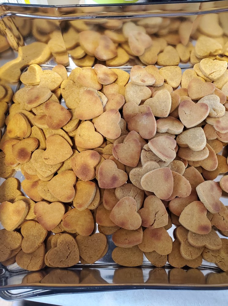 WOOF’N AROUND TOWN Updated September 2024 22 Photos Kitchener