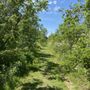 Photo of Erie Bluffs State Park