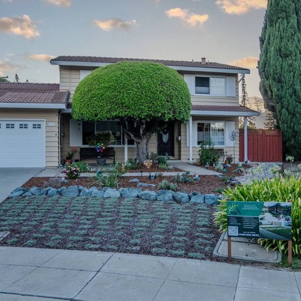 D & I Landscape - Front yard After - Landscaping Near Me - San Jose, California