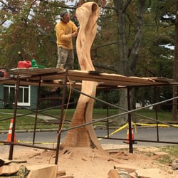 The FAF - Tree sculpting in action