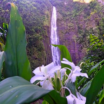 Epic Maui Camping - RV Rental Near Me - Maui, Hawaii Epic Maui Camping - RV Rental Near Me - Maui, Hawaii