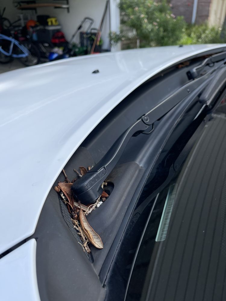 BEACHES CAR WASH & GIFT GALLERY Updated September 2024 142 Photos