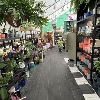 Pinecone Home and Garden Center - Nurseries & Gardening Near Me - New Bern, North Carolina Pinecone Home and Garden Center - Nurseries & Gardening Near Me - New Bern, North Carolina