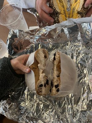 Holey City Bagels by null