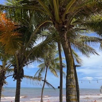 Casa Malca - Hotels Near Me - Tulum, ROO
