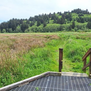 Beaver Creek State Natural Area - End of boardwalk to marsh walk - Hiking Near Me - Seal Rock, Oregon Beaver Creek State Natural Area - End of boardwalk to marsh walk - Hiking Near Me - Seal Rock, Oregon