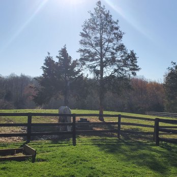 Wolftrap Farm - Beautiful view - Venues & Event Spaces Near Me - Gordonsville, Virginia
