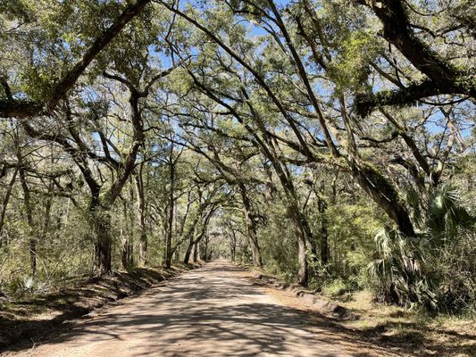 Botany Bay Heritage Preserve/Wildlife Management Area by null