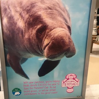 Bealls - Help, I'm A Big Loving Mammal - Department Stores Near Me - Port Saint Lucie, Florida