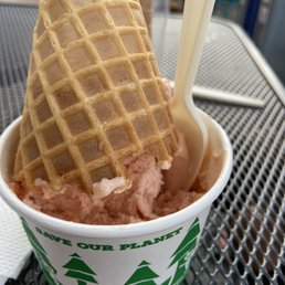 Vegan Strawberry Ice Cream