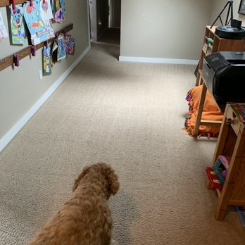All Kleen Carpet Cleaning - Was dirty. Not anymore. - Carpet Cleaning Near Me