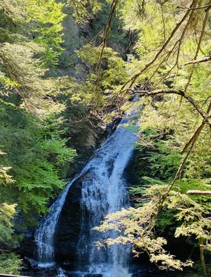 Moss Glen Falls by null