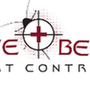 Photo of Above and Beyond Pest Control