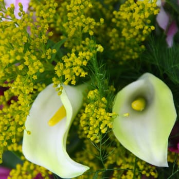Deihls' Flowers - Nurseries & Gardening Near Me - Burnham, Pennsylvania