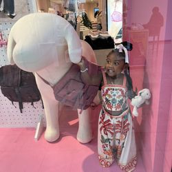 Victoria's Secret & PINK - Look at the store model