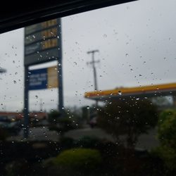 Shell