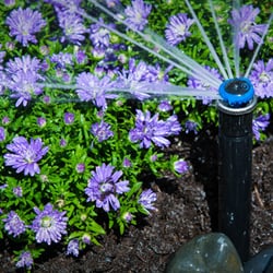 Olivio Irrigation & Drainage Repair