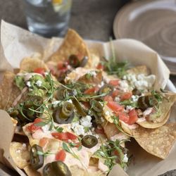 Lazy Dog - Pie Tin Nachos