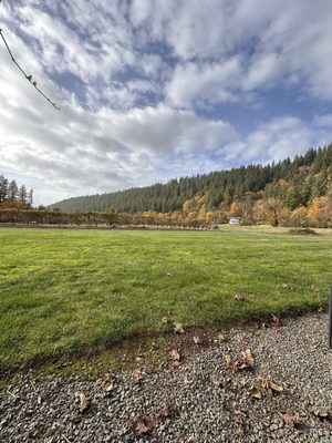 Pomeroy Cellars by null